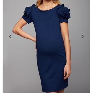Pietro Brunelli Salisburgo Maternity Dress
